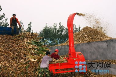 投資6億辦教育，打造畜牧業名片——記者走訪泌陽探尋鄉村振興新路徑